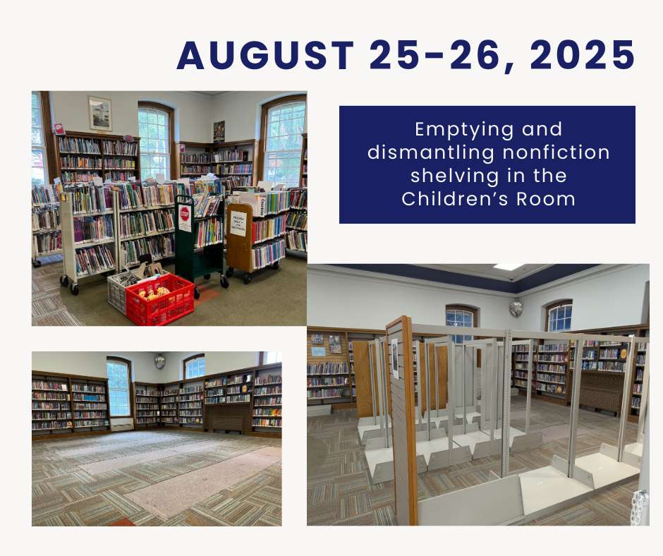 children's nonfiction shelving