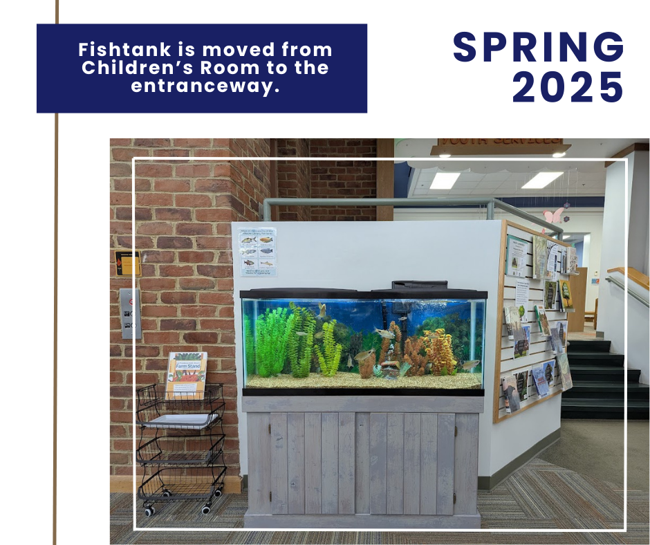 New fishtank